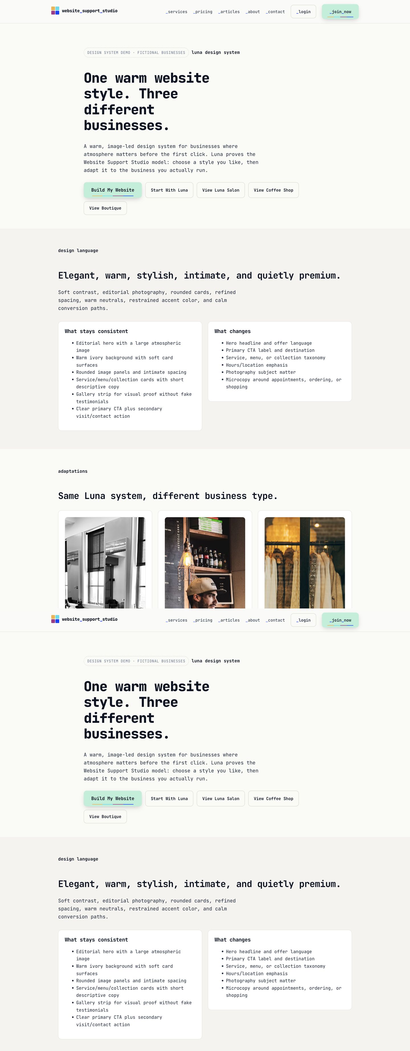 Luna sample website overview